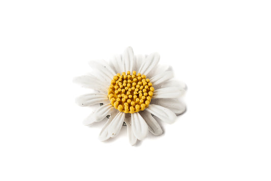 Marcador de Bola de Golf “Daisy Bloom”